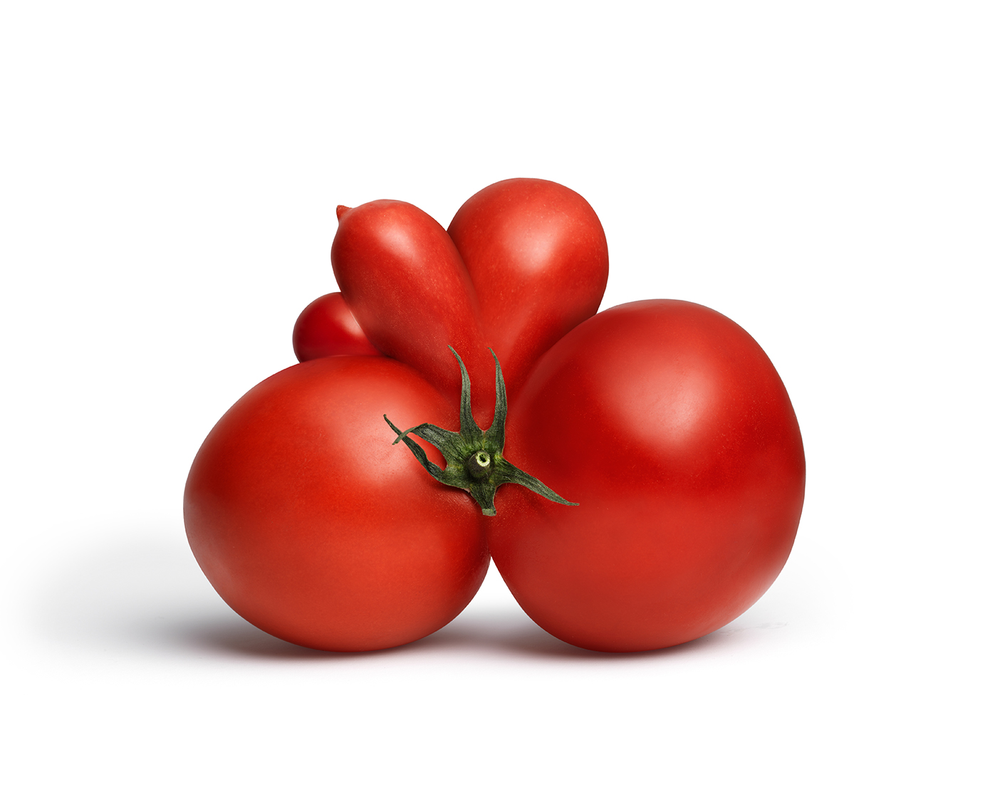 Commercial Photography — Mutant Tomato